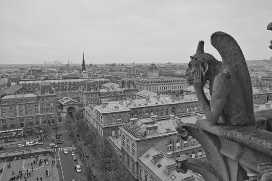 CATHEDRALE NOTRE DAME DE PARIS