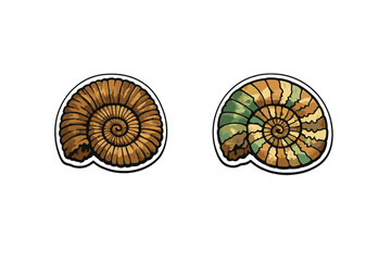 Obraz premium Two illustrated ammonite fossils are displayed against a black background. The left shell is brown and textured, while the right shell has a vibrant green and orange color scheme.