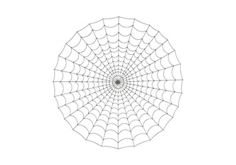 Black spider web pattern radial on white background isolated on a transparent background spiderweb radial pattern