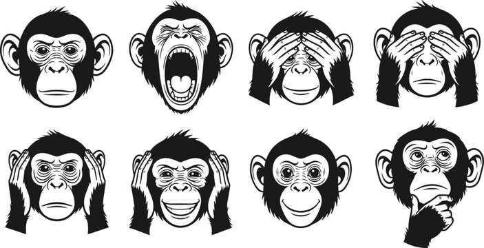 Chimpanzee monkey head set with various facial expressions and emotions including see no evil hear no evil and screaming mascot.