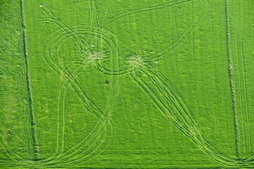 la campagne Bretonne de Gou&eacute;zec &agrave; Spezet vu de montgolfi&egrave;re en Finist&egrave;re France