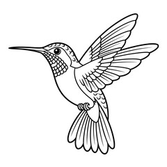 Obraz premium hummingbird vector illustration coloring page line art 