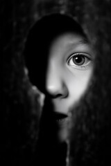 Hidden Gaze in the Shadows