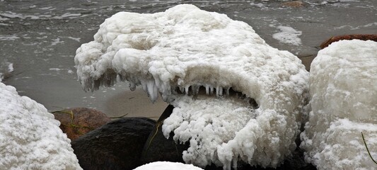 Lustiger Eispanzer auf Stein