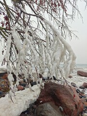 Eis an Zweigen an der Ostseek&uuml;ste