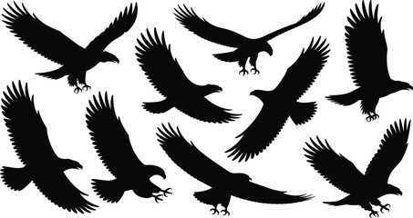 Obraz premium Collection of black eagle silhouettes in various flying poses bird wings
