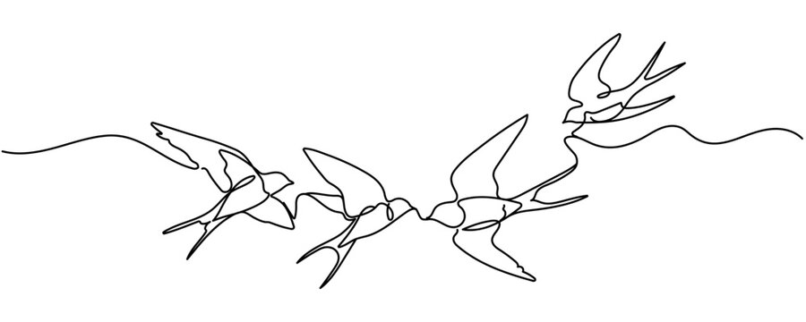 Continuous one line drawing of flying swallows bird. Simple barn swallow outline vector illustration. Editable stroke