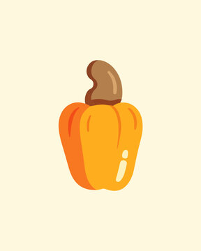 The cashew, a typical Brazilian fruit, with vibrant colors