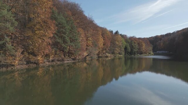 Ungraded long take raw aerial view of lake bank with reeds and autumn forest reflection for color grading