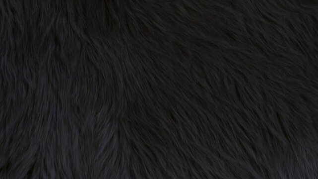 Waving Real Black Animal Fur Texture Background in Slow Motion, 1000fps.
