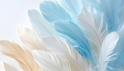 Fototapeta premium Soft pastel feathers in delicate arrangement.