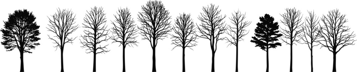 Obraz premium Detailed Black Silhouette Set of Winter Trees and Bare Branches Without Leaves Isolated on White Background for Seasonal Nature Designs