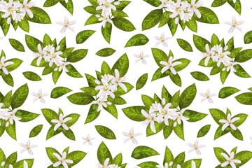 Beautiful white flowers and green leaves on white background