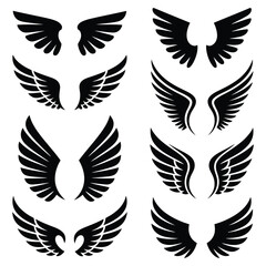 Obraz premium set of wings