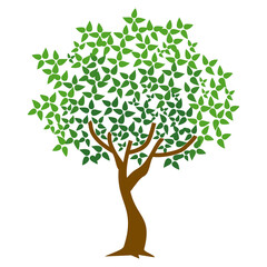 Fototapeta premium flat style tree illustration. cartoon tree. forest nature theme 