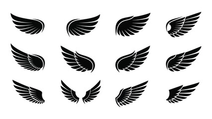 Obraz premium A collection of black feather illustrations arranged in a circular pattern Vector