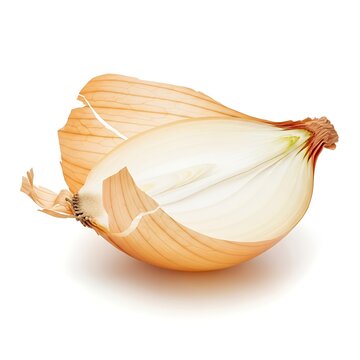 Fresh raw yellow onion bulb and organic garlic clove isolated on a white background as healthy cooking ingredients for vegetarian food