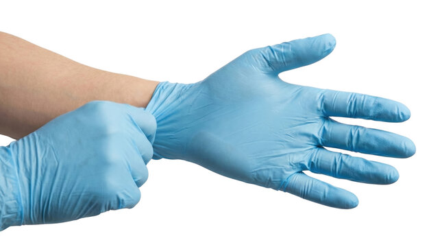Close up of hands putting on blue medical glove on transparent background