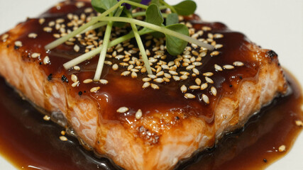 Miso Glazed Protein Macro Detail