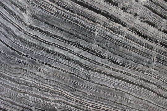 Detail of Black Wood marble texture resembling wood grain with linear gray and black veins.