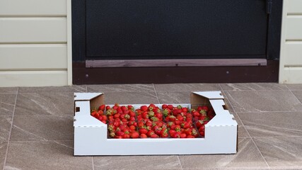 Cardboard box full of fresh organic strawberries delivered to the house front door. Close-up