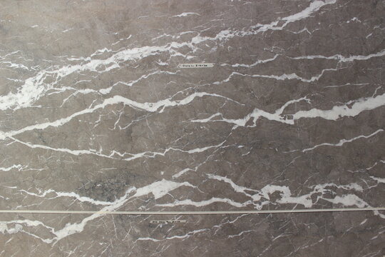 Grigio Carnico gray marble texture with thick white veins flowing horizontally for a modern and calm impression.