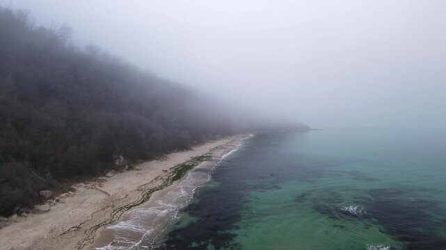 Drone aerial shot of a quiet coastline covered by dense sea fog. The mist partially hides the forested bluff while a narrow sandy beach meets clear shallow water with visible dark reef patches.