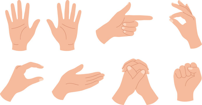 Set of hand gestures and human arm signs, various palms, fingers, and icons for communication, body language vector illustration