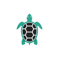 Fototapeta premium Stylized top-down illustration of a green sea turtle with a black and white hexagonal shell pattern on a white background.