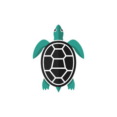 Obraz premium A stylized top-down view of a teal and black turtle with a patterned shell on a white background, representing marine life.
