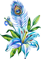 Watercolor illustration of a blooming blue lily with a peacock feather and green leaves. Elegant floral composition with vibrant exotic details, hand-painted in a realistic botanical style.