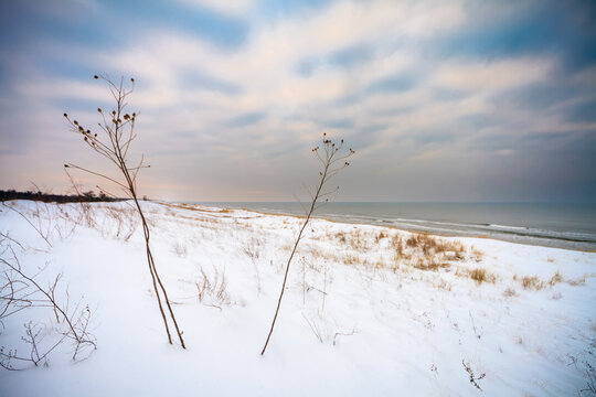 Snowy Beach Landscape in winter on an overcast day, Curonian Spit, Lithuania