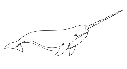 narwhal swimming with horn © Azizi