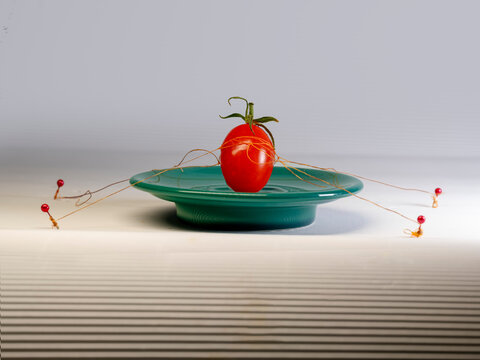 Cherry plum tomato on a plate secured with ground stakes and guy ropes