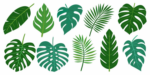 Collection of vibrant tropical leaves in varying shapes and shades of green © Piku
