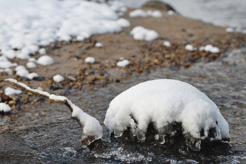 snow on the branches