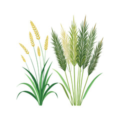 Fototapeta premium Wild grass plants with golden wheat-like heads, green leaves
