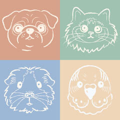 Hand drawn chalk line poster with cute dog, cat, hamster and parrot heads in soft pastel color blocks. Cozy minimalist animal illustration for nursery decor, wall art and kids design.