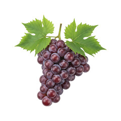 Fototapeta premium Bunch of fresh purple grapes with green leaves on stem isolated on white background transparent background