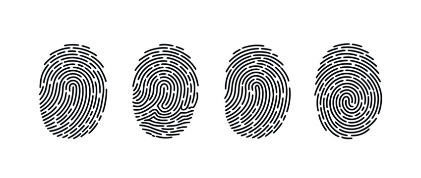 Set of four unique fingerprint icons isolated on white background, vector illustrations for identity verification, security, authentication, technology, personal identification, and digital 