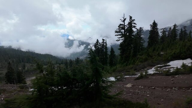 Majestic Mountain Forest with Drifting Clouds and Patches of Snow in British Columbia, Canada