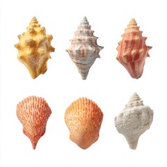 Obraz premium Colorful Variety of Seashells Displayed on White Background, Showcasing Unique Shapes and Textures from Ocean