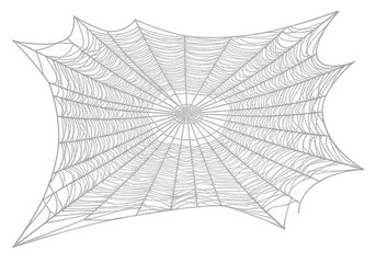 Intricate network of interconnected lines forming an abstract geometric pattern.