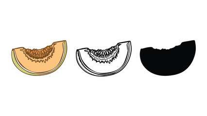 Fototapeta premium Three slices of cantaloupe melon, including a colored illustration, a line drawing, and a silhouette.