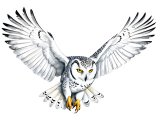 Naklejka premium A white owl with bright yellow eyes in flight
