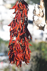 original Italian foods hot chili pepper