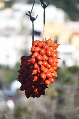 italian original foods