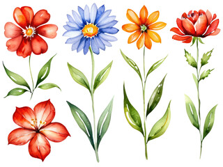 Fototapeta premium Beautiful bouquet of various flowers on a clean white background, ideal for advertising or editorial use