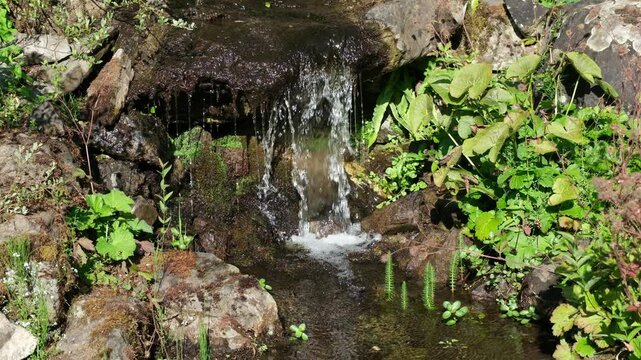 Garten Wasserfall in Botanischem Steingarten Biotop, Gebirgsbach Bachlauf Gartengestaltung mit Gr&uuml;npflanzen