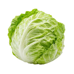 Fresh Green Head of Crisp Lettuce Isolated on White Background